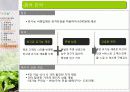 유기농 음식점 사업계획서 28페이지