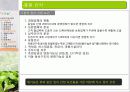 유기농 음식점 사업계획서 29페이지