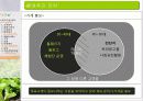 유기농 음식점 사업계획서 32페이지
