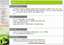 유기농 음식점 사업계획서 33페이지