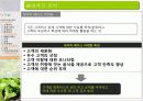 유기농 음식점 사업계획서 35페이지