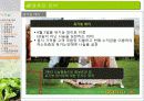 유기농 음식점 사업계획서 36페이지
