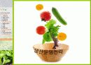 유기농 음식점 사업계획서 37페이지
