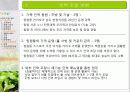 유기농 음식점 사업계획서 38페이지