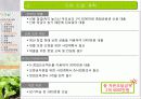 유기농 음식점 사업계획서 42페이지