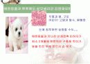 생활속의 안전 16페이지