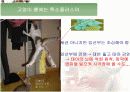 생활속의 안전 17페이지