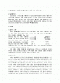 유동가시화 2페이지