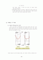 유동가시화 10페이지