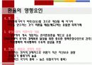 환율불안정성이 미치는 무역과환율불안정성이 미치는 무역과 5페이지