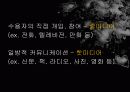 마샬 맥루한의 시각에서 바라본 디지털 매개예술 10페이지