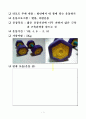 OCU 몸매만들기와 몸매만들기 레포트 2페이지