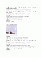 웨이트 트레이닝 레포트 - 스트레칭5 8페이지