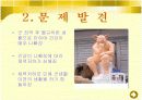 건강찾기 프로젝트!(내가해야할일PPT) 3페이지