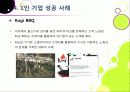 [1인 기업]1인 창조 기업이란 무엇인가? -1인 기업이 주목받게 된 배경과 장단점, 주요 사례 분석 및 1인 기업 활성화를 위한 과제 및 방안 모색 18페이지