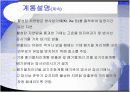방사성기체폐기물 처리계통 29페이지