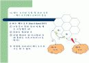 핸드 오프와 로밍 및 위치등록 PPT발표자료 4페이지