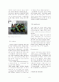 멜론 F₁품종 종자의 순도 검정 3페이지