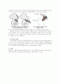 CASE STUDY-대퇴골두 무혈성 괴사증  8페이지