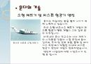 기술혁신-혼다 30페이지