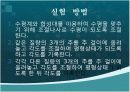 벡터의 합성 등속도 운동 5페이지