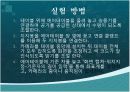 벡터의 합성 등속도 운동 16페이지
