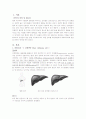 CASE STUDY - 간경변증(liver cirrhosis, LC)  3페이지