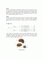 골격계(해부학)와 OS와 관련된 medical term & 약어  8페이지