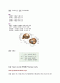 골격계(해부학)와 OS와 관련된 medical term & 약어  9페이지