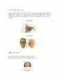 골격계(해부학)와 OS와 관련된 medical term & 약어  10페이지