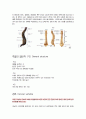 골격계(해부학)와 OS와 관련된 medical term & 약어  12페이지