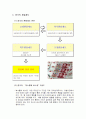 [위안화절상]중국 위안화 절상의 의미와 한국경제에 미치는 영향에 대한 완벽정리 및 대처 자세에 관한 고찰  4페이지