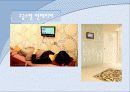 서비스마케팅성공실패사례 17페이지