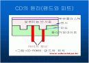CD ( compact disc)의 원리 10페이지