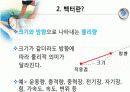 백터 (벡터)의 합성과 분해 4페이지