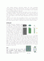 세포 골격의 구조와 기능 8페이지