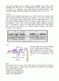 세포막의 투과성 4페이지