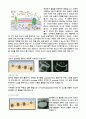 세포 생물학  12페이지