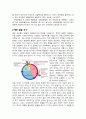 세포 분열 4페이지