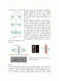 세포 분열 7페이지