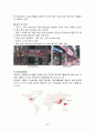 정관장 기업의 환경 분석 및 마케팅 전략 분석 23페이지