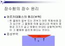 잠수함의 역사와 구조 19페이지