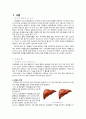 간경화증case(Alcoholic Liver Cirrhosis) 2페이지