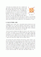[혁신도시]혁신도시 건설, 문제점은 없는가? - 혁신도시의 장단점(필요성,효과/문제점,한계) 분석을 통한 바람직한 혁신도시 추진 방향 모색 10페이지
