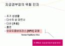 자궁경부암 교육자료 12페이지