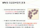 자궁경부암 교육자료 13페이지