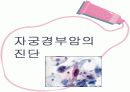 자궁경부암 교육자료 20페이지