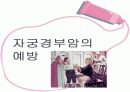 자궁경부암 교육자료 25페이지