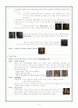A beautiful mind 감상문 - 정신분열병의 시작, 증상, 치료적 장면과 극복 2페이지