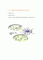 전자태그 RFID란 무엇인가? 55페이지